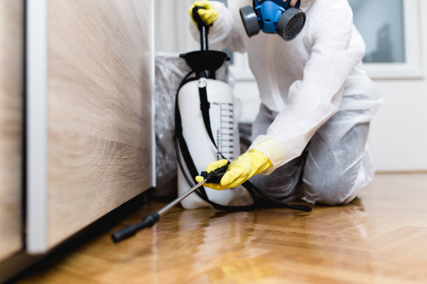 Best Affordable Pest Control Services  in Fairview, CA
