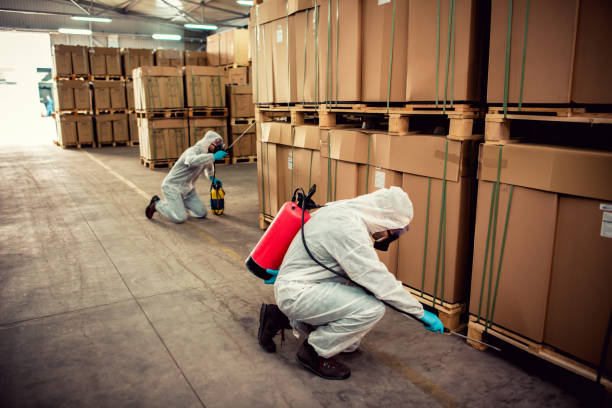 Best Local Pest Control Services  in Fairview, CA