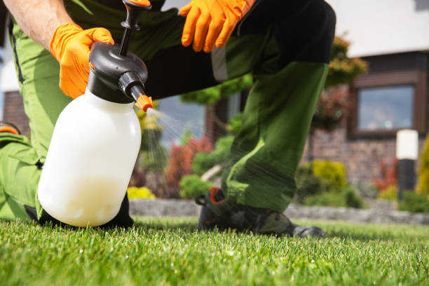 Best Bed Bug Extermination  in Fairview, CA