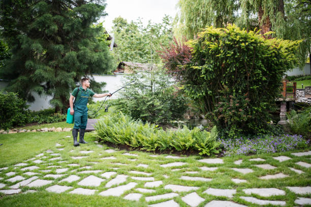 Best Flea Control Services  in Fairview, CA