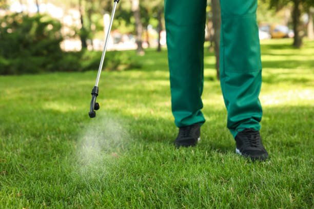 Best Mosquito Control Services  in Fairview, CA