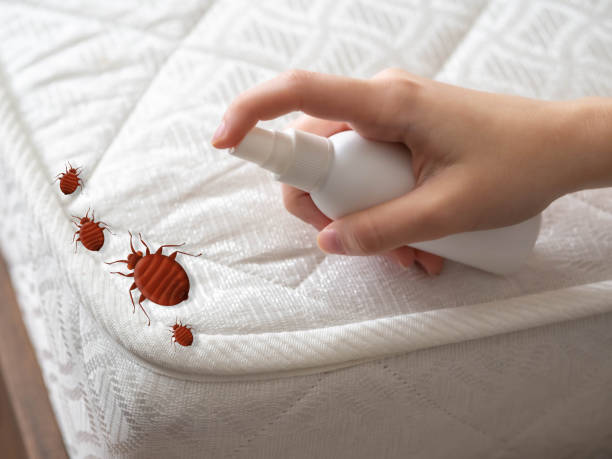 Best Best Pest Control Companies  in Fairview, CA