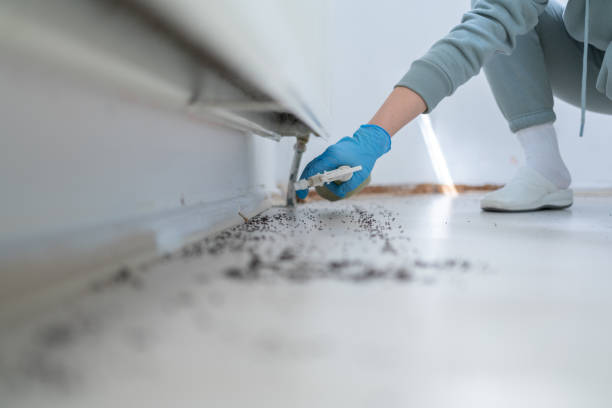 Best Cockroach Control Services  in Fairview, CA