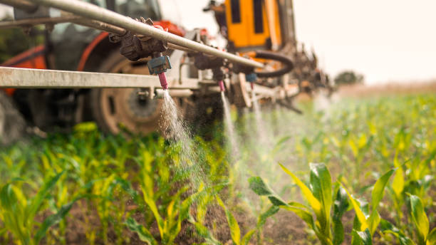 Reliable Fairview, CA Pest Control Solutions
