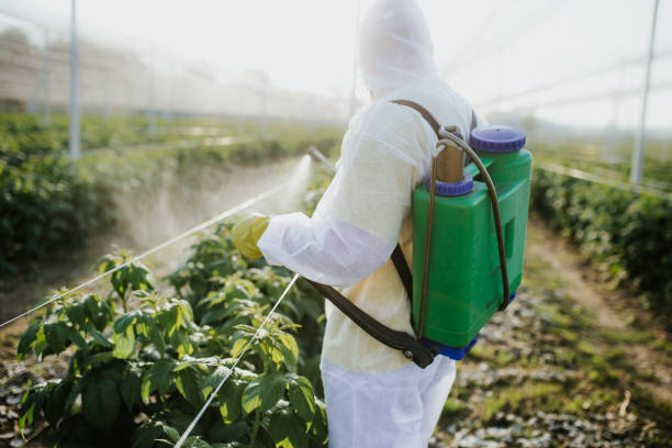 Best Pest Control Near Me  in Fairview, CA